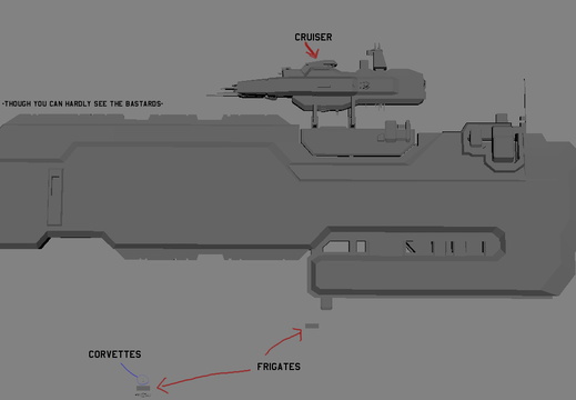 DM flag size